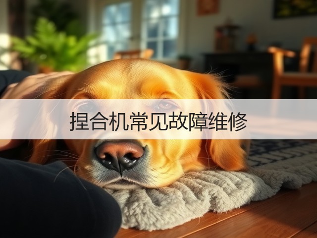 捏合机常见故障维修(图2) 捏合机常见故障维修(图2)