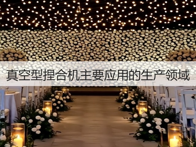 真空型捏合机主要应用的生产领域(图3) 真空型捏合机主要应用的生产领域(图3)
