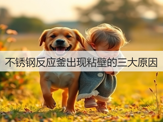不锈钢反应釜出现粘壁的三大原因(图2) 不锈钢反应釜出现粘壁的三大原因(图2)