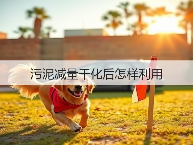 污泥减量干化后怎样利用(图2) 污泥减量干化后怎样利用(图2)