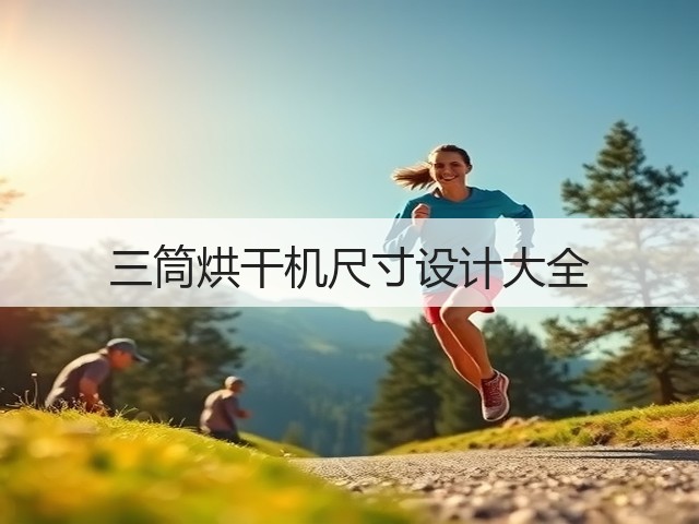 三筒烘干机尺寸设计大全(图2)