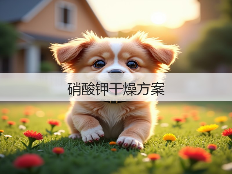硝酸钾干燥方案
