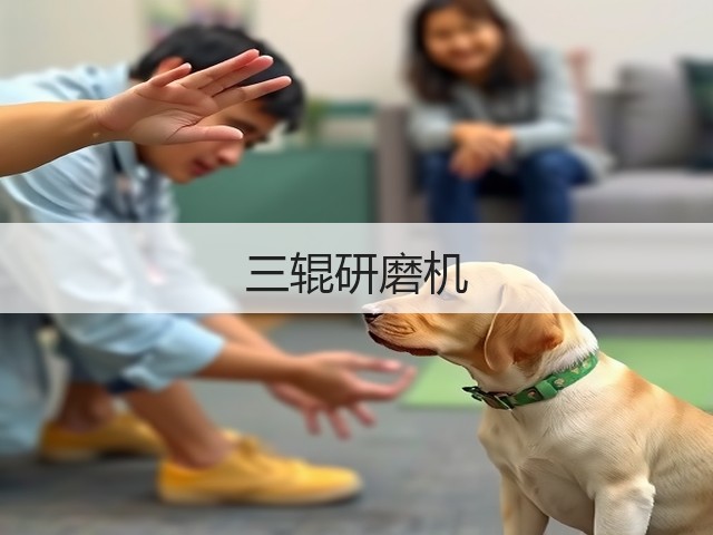 三辊研磨机(图1) 三辊研磨机(图1)