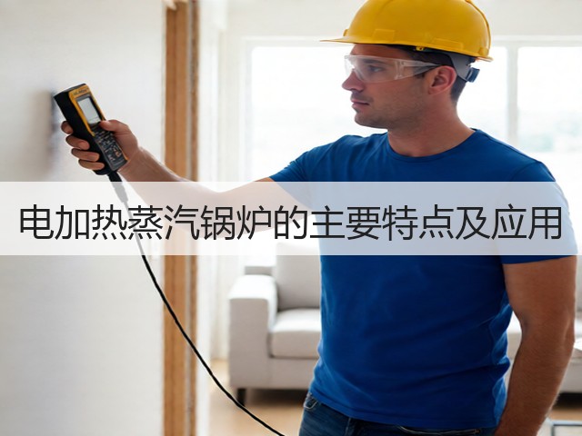 电加热蒸汽锅炉的主要特点及应用(图1) 电加热蒸汽锅炉的主要特点及应用(图1)