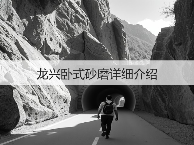 龙兴卧式砂磨详细介绍(图1) 龙兴卧式砂磨详细介绍(图1)