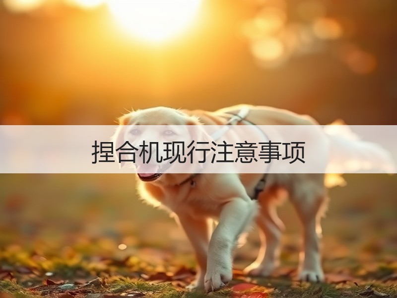 捏合机现行注意事项 捏合机现行注意事项