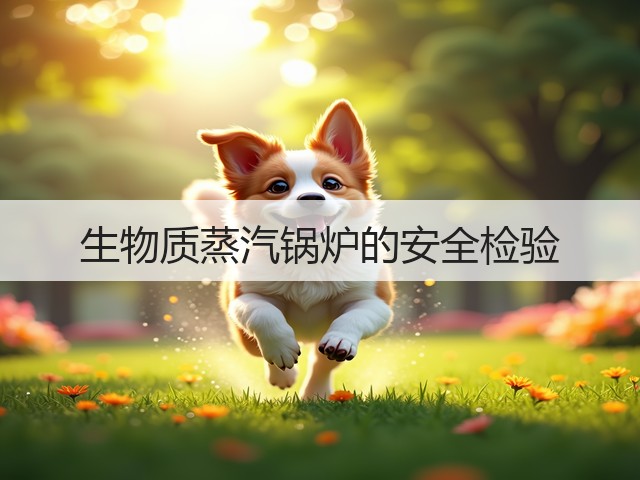 生物质蒸汽锅炉的安全检验(图1) 生物质蒸汽锅炉的安全检验(图1)