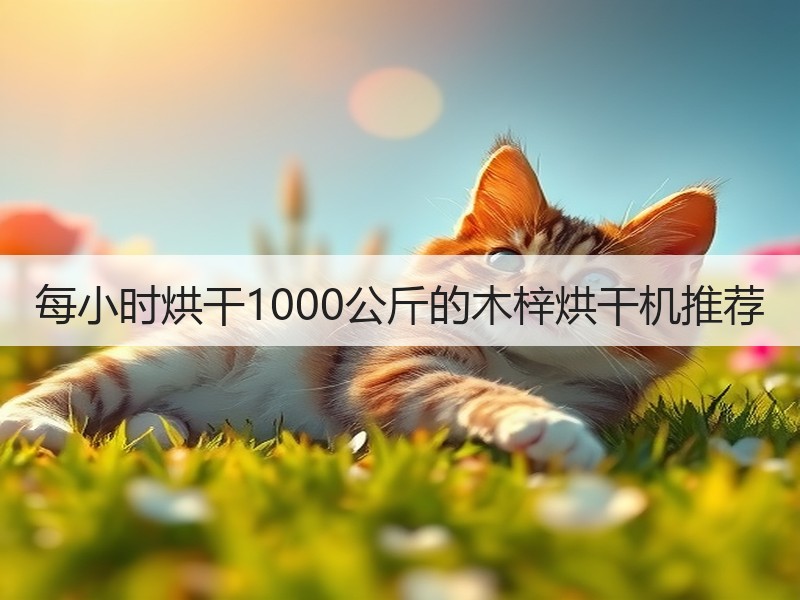 每小时烘干1000公斤的木梓烘干机推荐