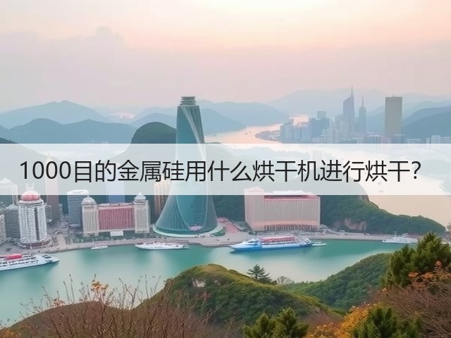 1000目的金属硅用什么烘干机进行烘干?(图2) 1000目的金属硅用什么烘干机进行烘干?(图2)