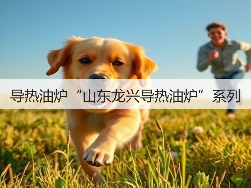 导热油炉“山东龙兴导热油炉”系列 导热油炉“山东龙兴导热油炉”系列