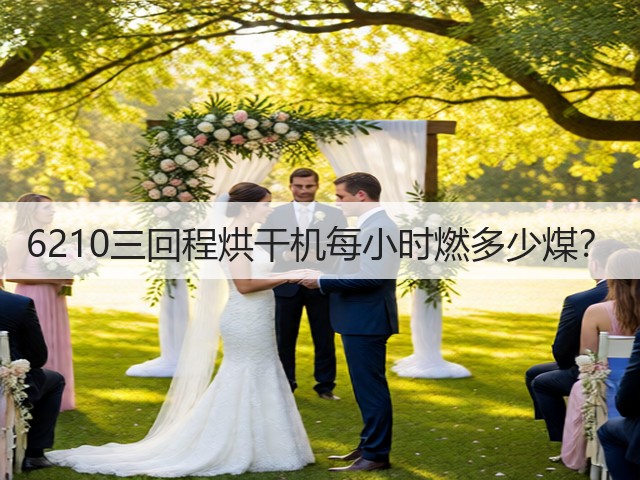 6210三回程烘干机每小时燃多少煤？(图2)