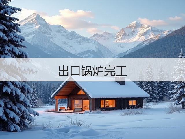 出口锅炉完工(图2) 出口锅炉完工(图2)