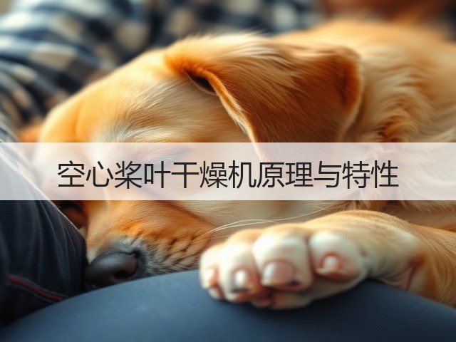 空心桨叶干燥机原理与特性(图1) 空心桨叶干燥机原理与特性(图1)