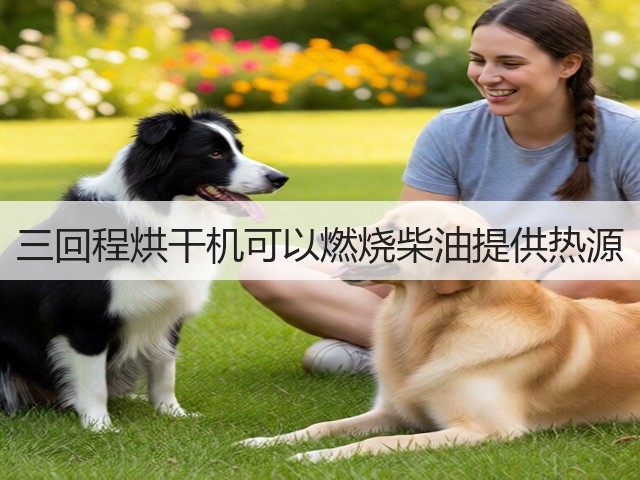 三回程烘干机可以燃烧柴油提供热源(图1) 三回程烘干机可以燃烧柴油提供热源(图1)