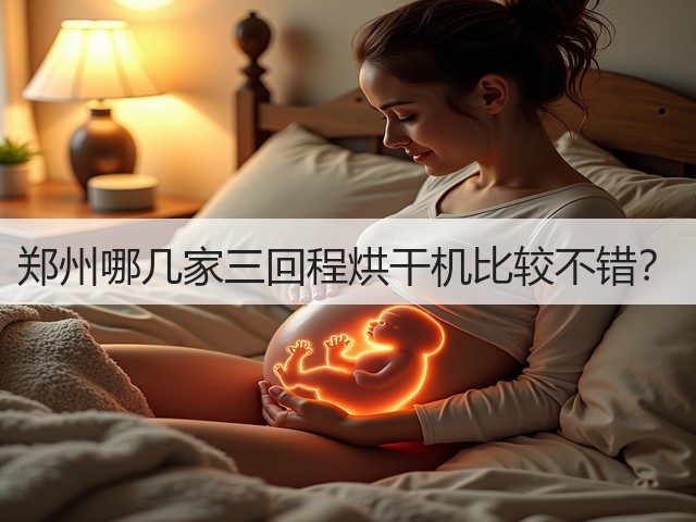 郑州哪几家三回程烘干机比较不错?(图3) 郑州哪几家三回程烘干机比较不错?(图3)
