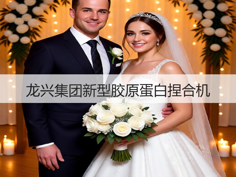 龙兴集团新型胶原蛋白捏合机