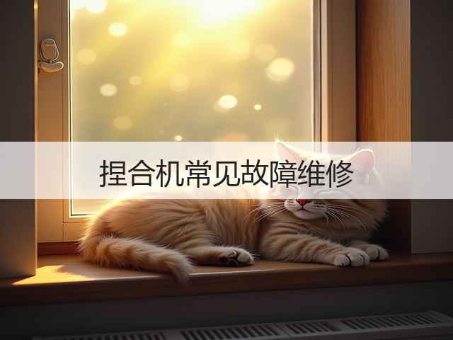 捏合机常见故障维修(图3) 捏合机常见故障维修(图3)