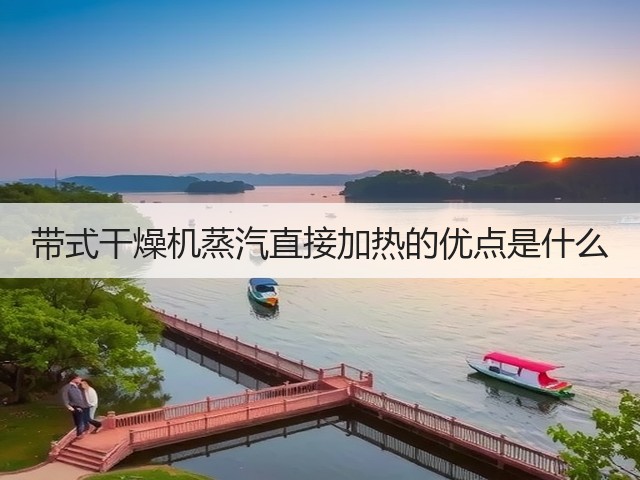 带式干燥机蒸汽直接加热的优点是什么(图2) 带式干燥机蒸汽直接加热的优点是什么(图2)