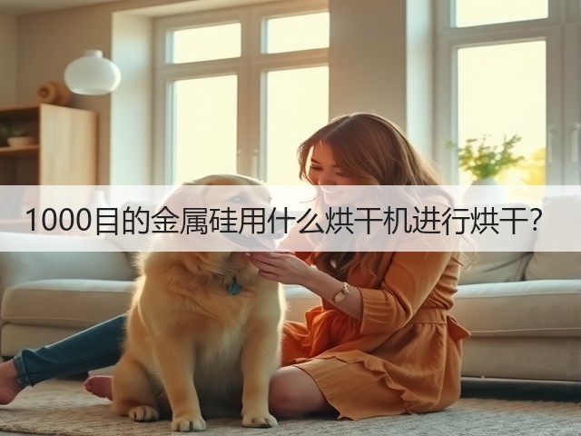 1000目的金属硅用什么烘干机进行烘干?(图2) 1000目的金属硅用什么烘干机进行烘干?(图2)