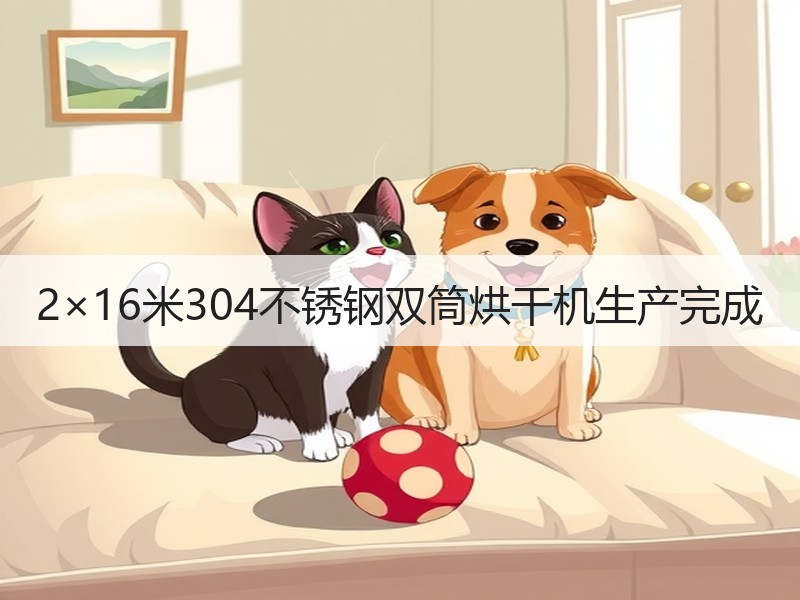 2×16米304不锈钢双筒烘干机生产完成