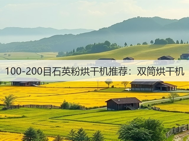 100-200目石英粉烘干机推荐：双筒烘干机(图2)