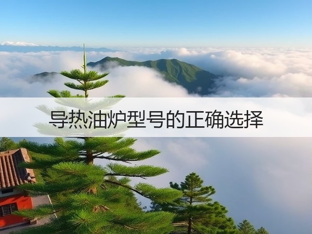 导热油炉型号的正确选择(图2)