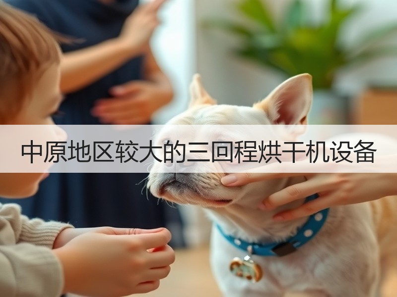 中原地区较大的三回程烘干机设备