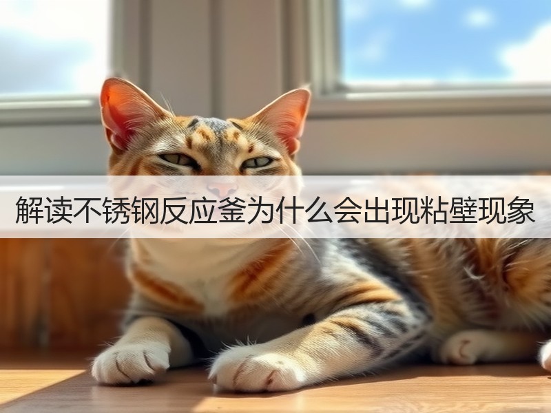 解读不锈钢反应釜为什么会出现粘壁现象 解读不锈钢反应釜为什么会出现粘壁现象