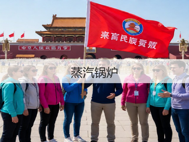 蒸汽锅炉(图1) 蒸汽锅炉(图1)