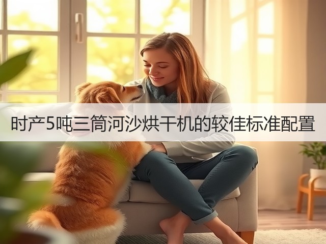 时产5吨三筒河沙烘干机的较佳标准配置(图2)