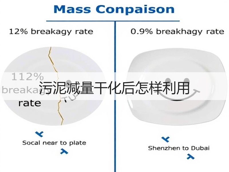 污泥减量干化后怎样利用