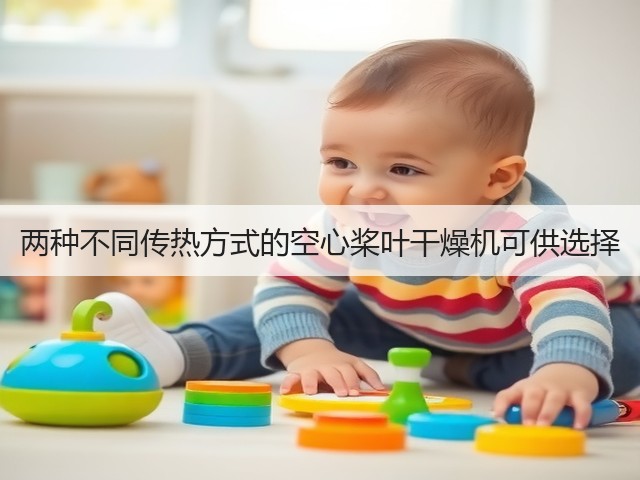 两种不同传热方式的空心桨叶干燥机可供选择(图1) 两种不同传热方式的空心桨叶干燥机可供选择(图1)
