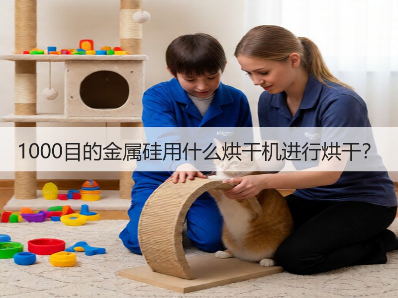 1000目的金属硅用什么烘干机进行烘干? 1000目的金属硅用什么烘干机进行烘干?