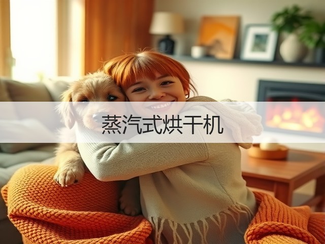 蒸汽式烘干机(图1)