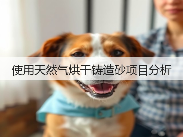 使用天然气烘干铸造砂项目分析(图1) 使用天然气烘干铸造砂项目分析(图1)