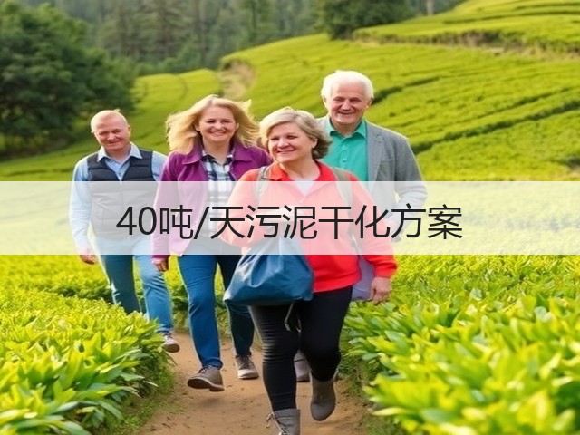 40吨/天污泥干化方案(图2)