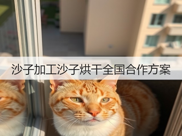 沙子加工沙子烘干全国合作方案(图3) 沙子加工沙子烘干全国合作方案(图3)
