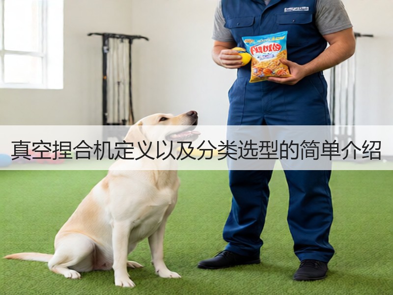真空捏合机定义以及分类选型的简单介绍