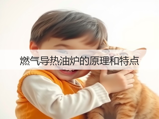 燃气导热油炉的原理和特点(图1)