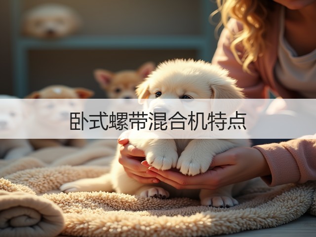 卧式螺带混合机特点(图3) 卧式螺带混合机特点(图3)