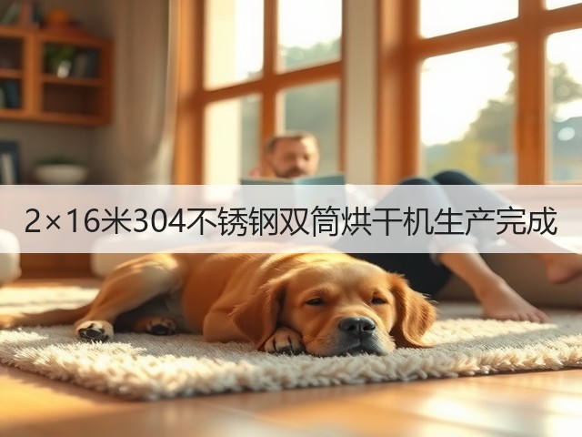 2×16米304不锈钢双筒烘干机生产完成(图1) 2×16米304不锈钢双筒烘干机生产完成(图1)