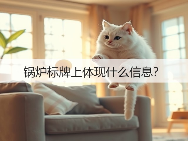 锅炉标牌上体现什么信息?(图3) 锅炉标牌上体现什么信息?(图3)