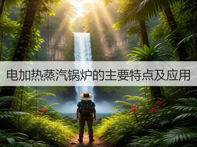 电加热蒸汽锅炉的主要特点及应用(图1) 电加热蒸汽锅炉的主要特点及应用(图1)