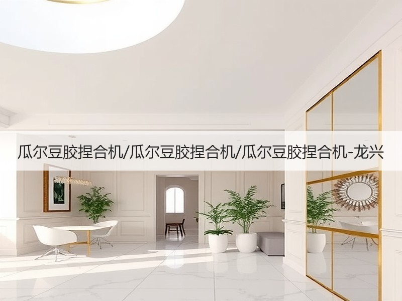 瓜尔豆胶捏合机/瓜尔豆胶捏合机/瓜尔豆胶捏合机-龙兴