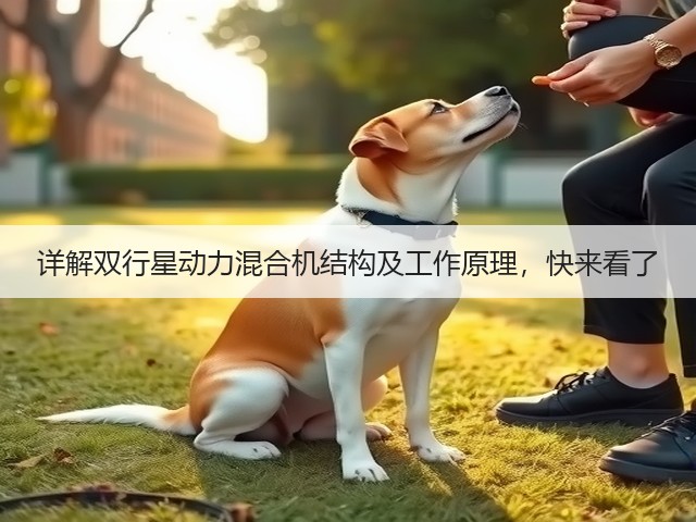 详解双行星动力混合机结构及工作原理,快来看了(图1) 详解双行星动力混合机结构及工作原理,快来看了(图1)