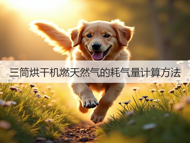三筒烘干机燃天然气的耗气量计算方法(图3) 三筒烘干机燃天然气的耗气量计算方法(图3)