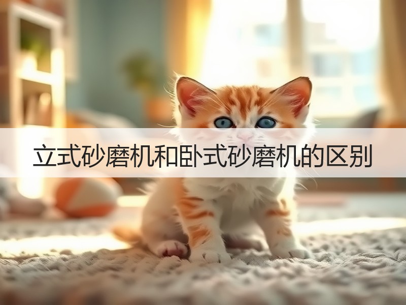立式砂磨机和卧式砂磨机的区别