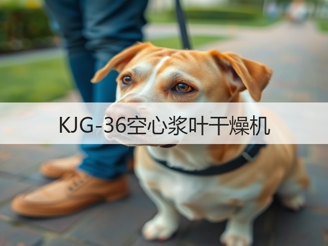 KJG-36空心浆叶干燥机(图1) KJG-36空心浆叶干燥机(图1)