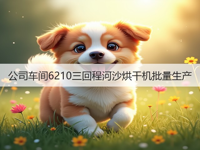 公司车间6210三回程河沙烘干机批量生产(图1)
