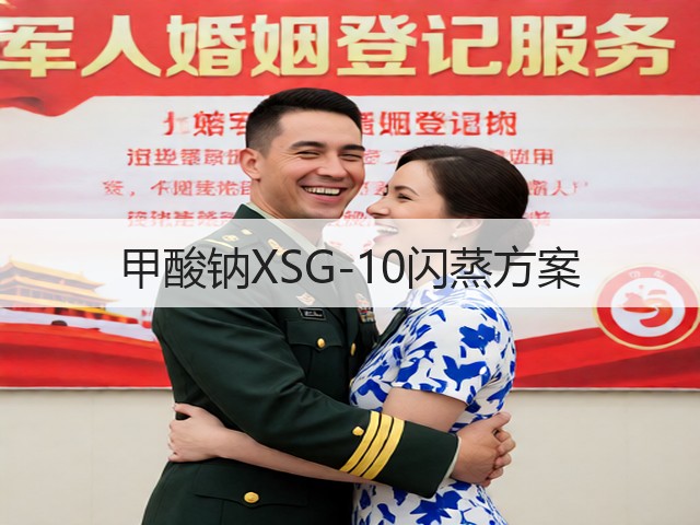 甲酸钠XSG-10闪蒸方案(图1) 甲酸钠XSG-10闪蒸方案(图1)